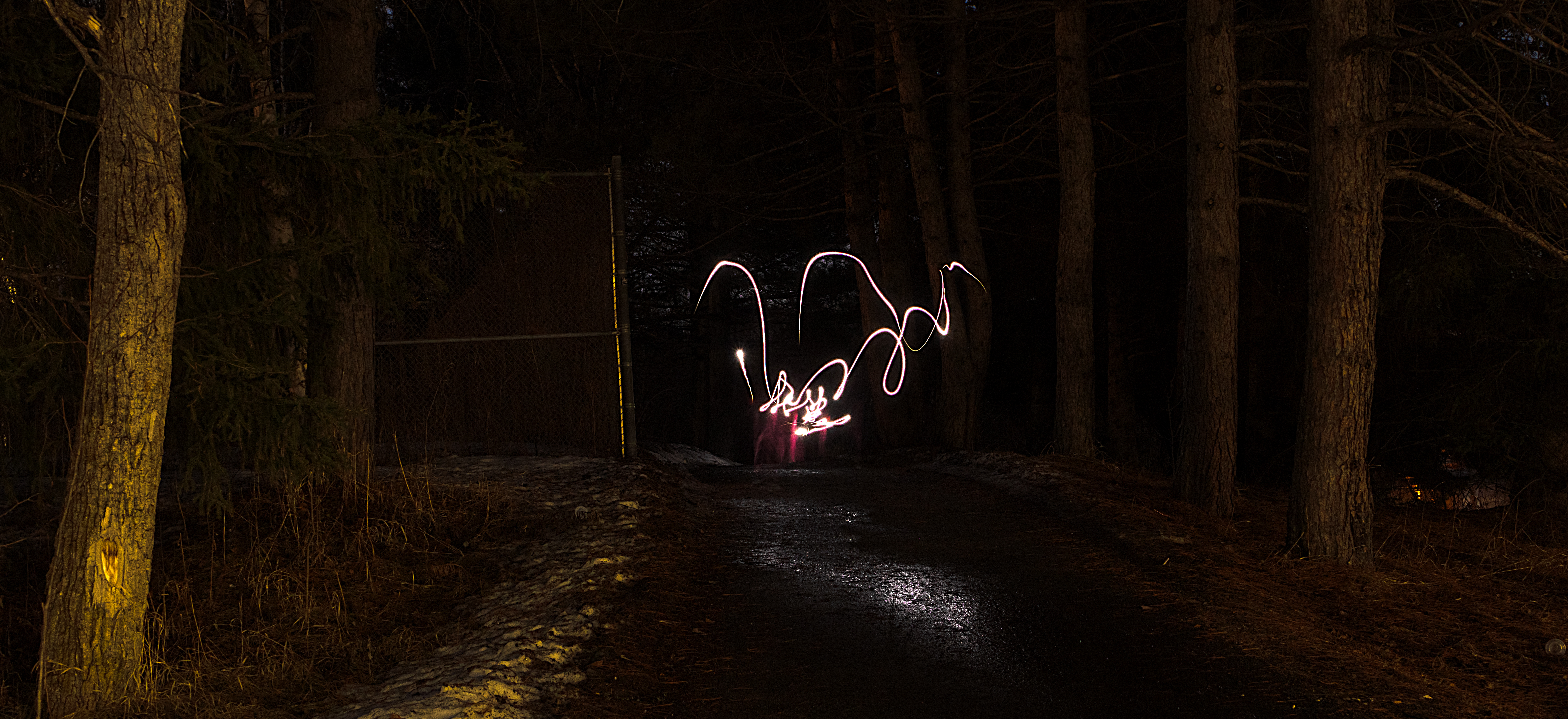 a light painting of a dragon