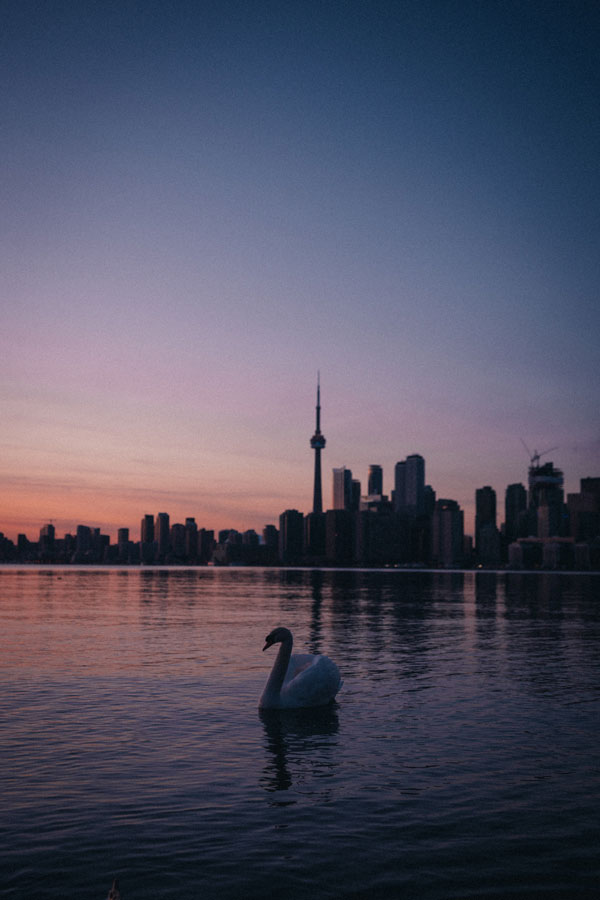 Toronto skyline at dusk